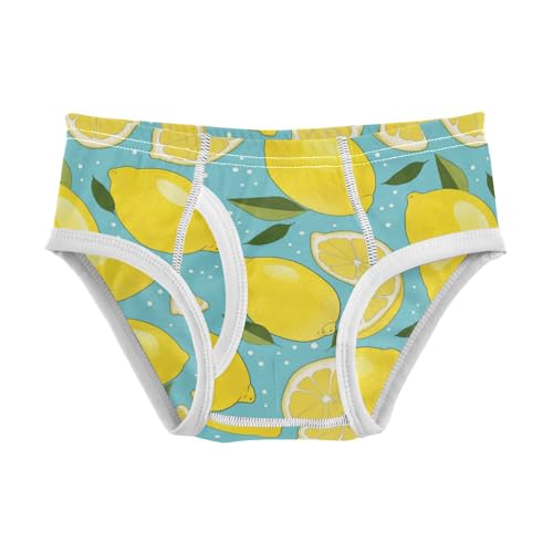 Wusikd Lemon Boys' Underwear Cotton Slices Mint Boys Briefs Soft Toddler Underwear 2T