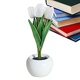 Belle forme de pot de tulipes : notre veilleuse LED tulipe n'est pas seulement un bonsaï élégant avec la spiritualité et le goût naturel des fleurs ; c'est une lampe de table à fleurs avec une lumière douce et agréable la nuit qui ajoute une couleur chaleureuse et romantique.