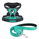 Joytale Dog Harness (Chest: 12-28") and 6FT x 1" Wide Dog Leash Set, Adjustable Soft No Pull Harness and Reflective Padded Handle Nylon Leash for Medium Dogs