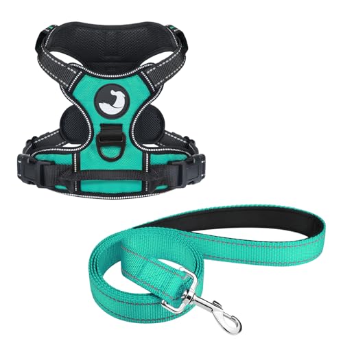 Joytale Dog Harness (Chest: 12-28") and 6FT x 1" Wide Dog Leash Set, Adjustable Soft No Pull Harness and Reflective Padded Handle Nylon Leash for Medium Dogs