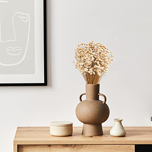 Natural Dry Flowers Brazilian Small Star Daisy Dried Flowers Dried Daisy Flowers Decorative Dried Flowers Mini Daisy Chamomile Bouquet For Wedding Floral Arrangements Decorations (White, 500 Pcs) #TOP5