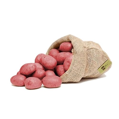 Patate da Semina Rosse 2 kg – Désirée già TAGLIATE – Varietà Produttiva e Resistente – Con Guida alla Coltivazione e Assistenza Agraria – Con Passaporto Fitosanitario - Alta Resa produttiva