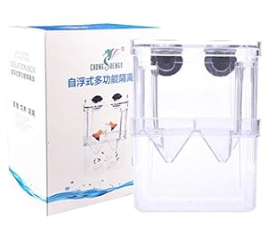 Tiberham Acryl Floating Fisch Zuchttank