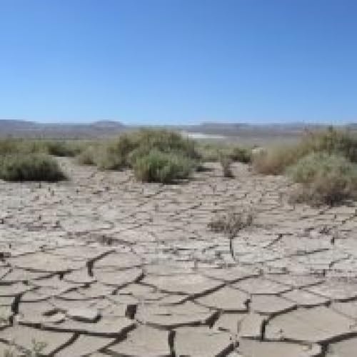 Entre las grietas...