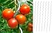 Produktbild 25 x Tomaten Spiralstab Alu 1,8m Tomatenstab Rankhilfe Pflanzstab Rankstab Tomate