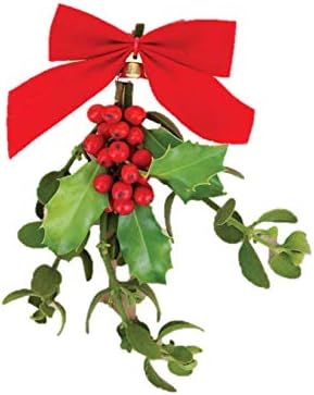 Burpee Live Decorative Mistletoe | Made from Real Sprig of Holly with Red Bow, Perfect Holiday Gift