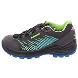 Lowa kid 640119 ZIRROX GTX LO JUNIOR grau Gr. 33