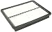 Genuine Hyundai (28113-2W100) Air Filter