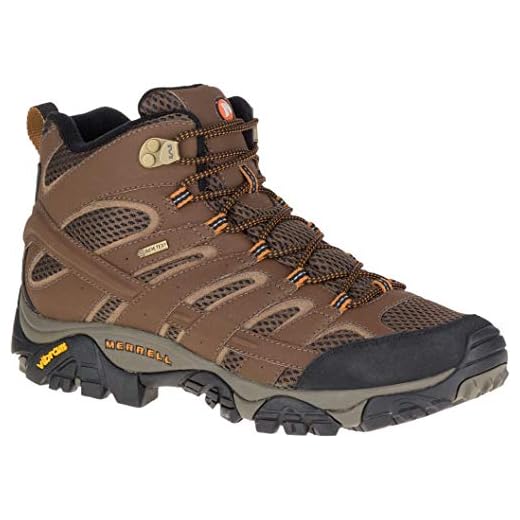 Merrell Men's Moab 2 Mid Gtx Hiking Boot, Earth, 11 M US