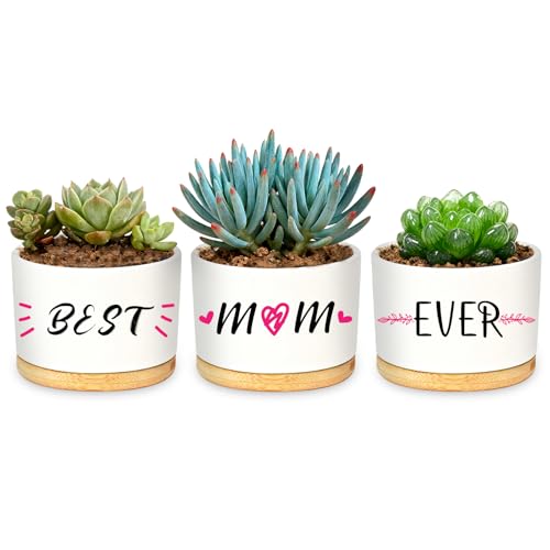 AuSletie Birthday Gifts for Mum,Set of 3'Best Mum Ever'Ceramic Succulent Plant Pots,Thoughtful Present from Daughter or Son, Ideal for Mother's Day,Birthday