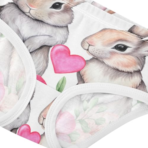 Cotton Toddler Girls Underwear Watercolor Gray Bunnies White Panties Little Girl Funny Briefs Underpants 2t4