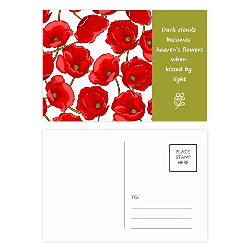 Carte postale pavot multicolore en lot de 20 : le cadeau idéal pour écrire un merci
