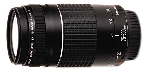 Canon EOS + EF 18 55mm f3.5 5.6 III + EF 75 300mm f4 5.6 III Kit d'appareil photo SLR 24 1 MP CMOS 6000 x 4000 pixels Neuf - vue 9