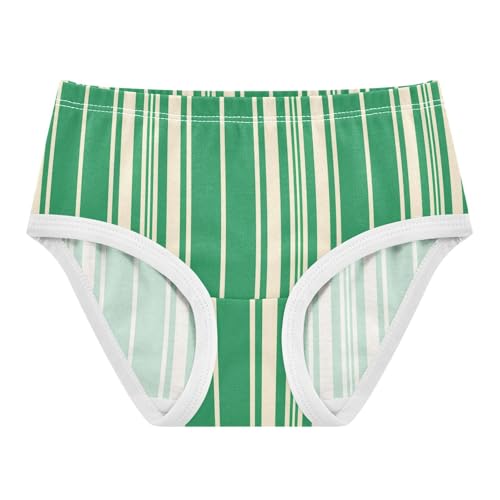 Green Stripe Toddler Girls's Underwear 2T 2300880