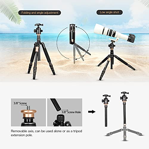 Koolehaoda K-666 Portable Camera Aluminium Tripod Monopod With Ball Head Pocket For Slr Camera #TOP5