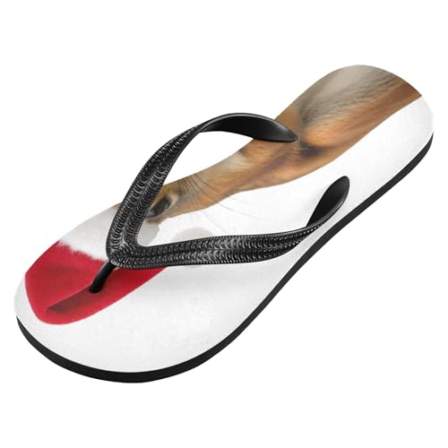 Burbuja Cute Squirrel Flip Flops for Women Men, Soft Thong Sandals Rubber Slippers for Pool Beach Essentials2