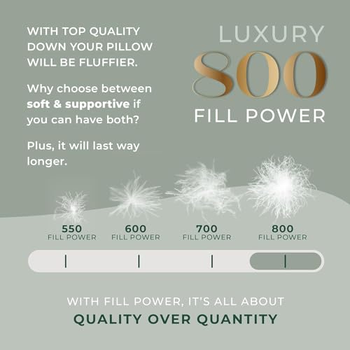 East Coast Bedding Standard Size Pillow, European Goose Down 800FP - Medium Luxury Hotel Pillow for a Luxury Bed - Thumbnail 3