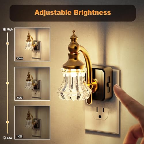 Image of JandCase Night Light, Night Lights Plug into Wall, Glass Flower Nightlight | LED 0-100LM Dimmable Nightlights, Dusk to Dawn Sensor, 1W Vintage Nite Light for Bathroom Hallway Gift Decor, 1 Pack