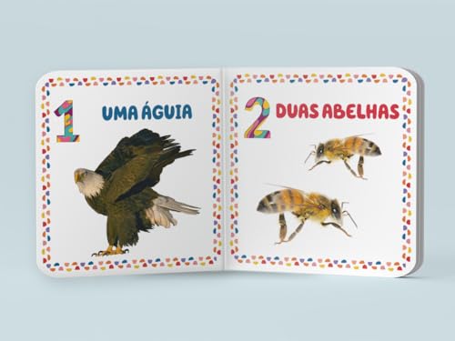 Coleção Meu Primeiro Livrinho de Vocabulário - Números