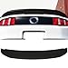 Trunk Spoiler Compatible with 2010-2014 Ford Mustang, GT500 Style ABS Unpainted Black Rear Spoiler Wing Trunk Boot Lip Deck Lid Available by IKON MOTORSPORTS, 2011 2012 2013