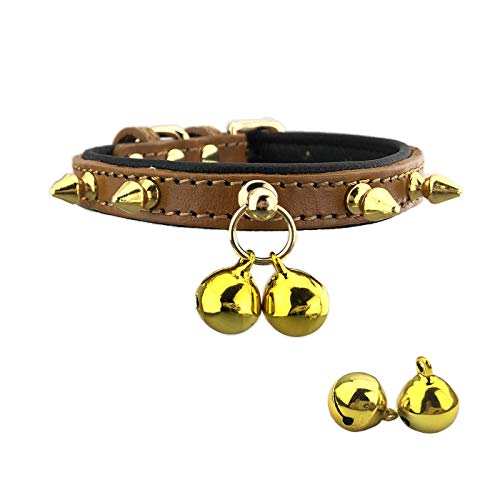 SUNCN pNx 킢̎ X^bht q Ȍ Lp - px2t - uE - XS