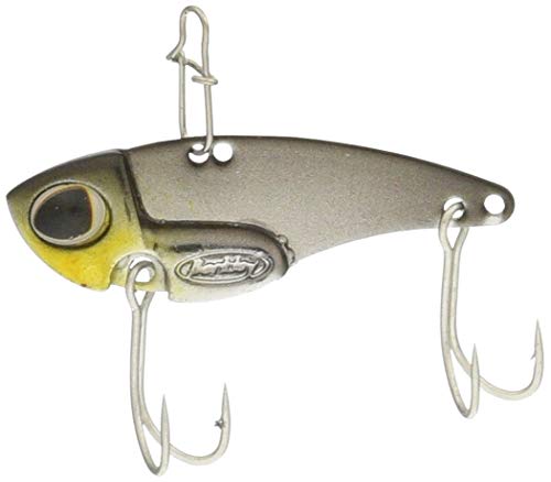 Berkley DEX MV