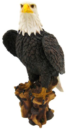 Bald Eagle Statue Nature Figure