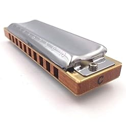 KIRANDIE Harmonica Blues Harpe diatonique Harmonica 10 Trous Instruments de Musique 20 Tons - Les Beatles, Paul McCartney, John Lennon, RIngo Starr, George Harrison KIRANDIE Harmonica Blues Harpe diatonique Harmonica 10 Trous Instruments de Musique 20 Tons – Image 4