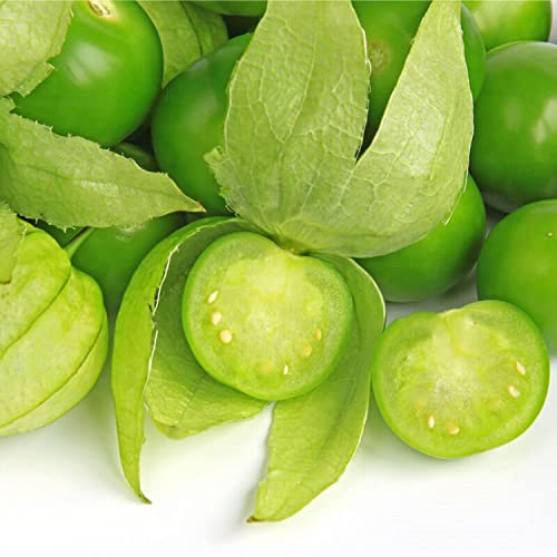 100 Semillas de Tomatillo Verde - Physalis tomate de jardín - semillas campesinas