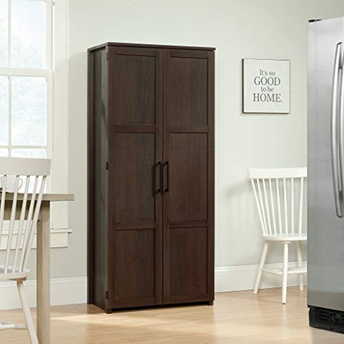 Sauder Homeplus Storage Cabinet, Dakota Oak Finish #TOP1