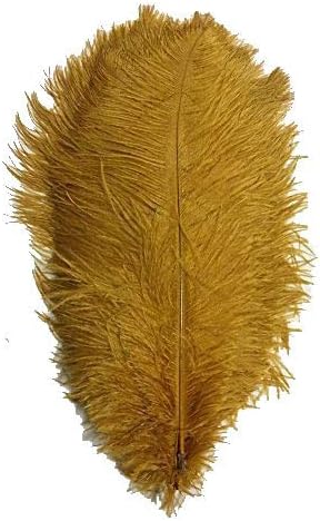 Cenfry 60PCS piume di struzzo 8 - 25,4 cm Plumes for wedding