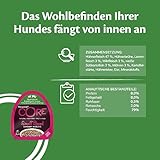 Wellness CORE Savoury Medleys 6 x 85g, Lamm, Wild & Huhn Mix – Hundefutter Nass für Hunde Kleiner Rassen, getreidefrei, natürlich, hypoallergen, proteinreich, hoher Fleischanteil