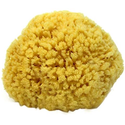 Natural Sea Sponge Small 4-5" by Spa Destinations®Creating The Perfect Bath and Shower Experience Amazing Natural Renewable Resource! Cover