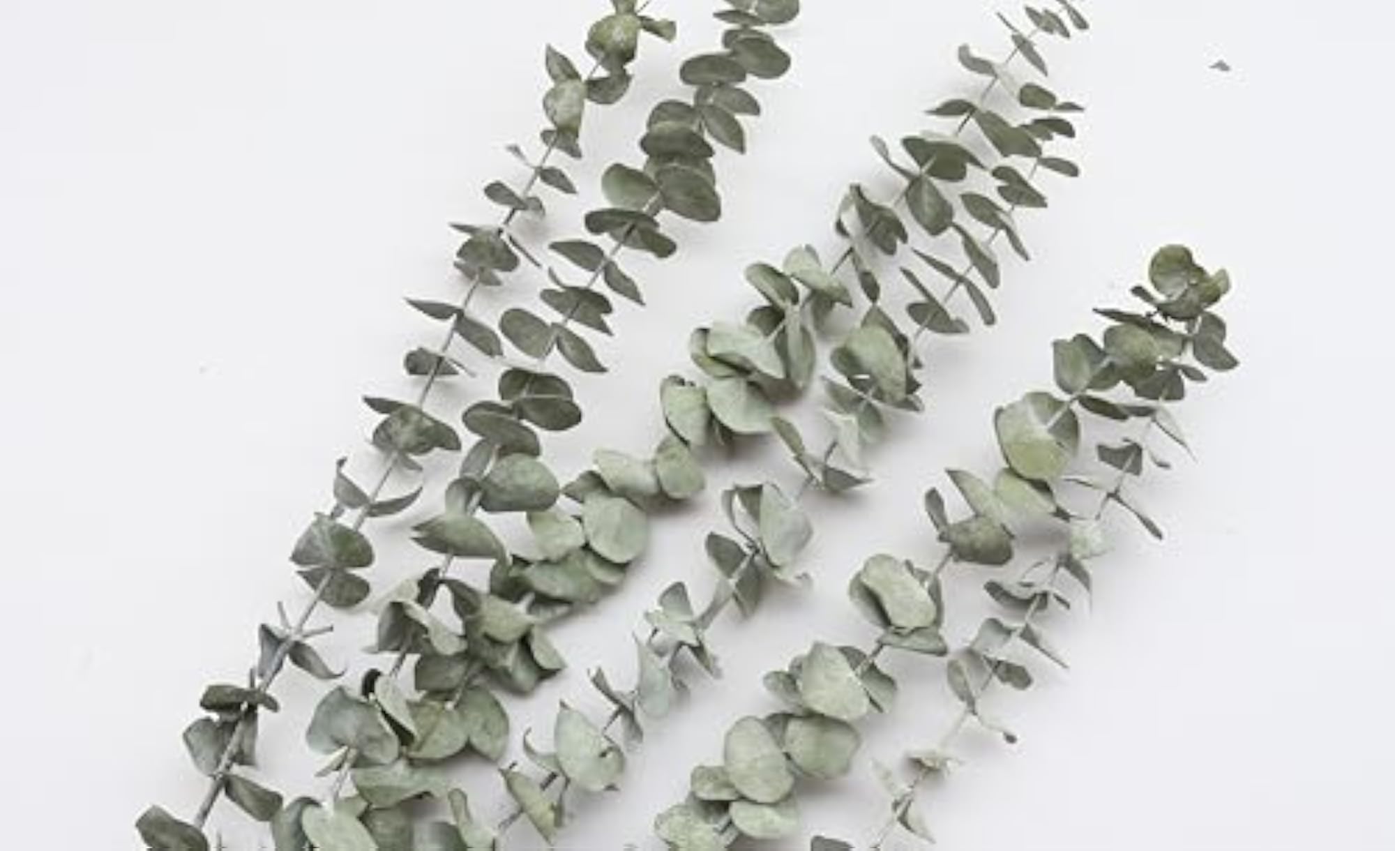 110PCS Mixed Natural Dried Lavender and Eucalyptus Shower Decor