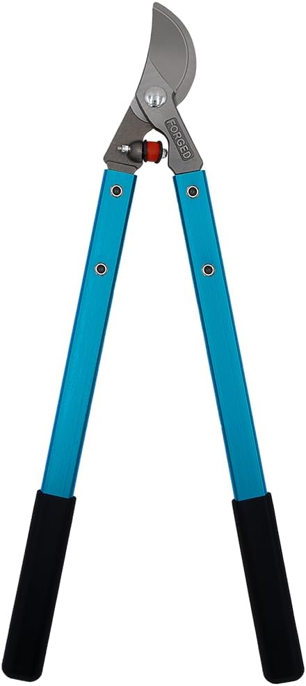Zenport MV20-6PK MV20 Professional Lopper, Vine and Light Tree, 2 Cut, Forged Head, 20-Inch Long, Box of 6, Blue