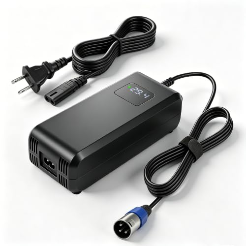 24V(Max 29.4V) 5A Lithium Battery Charger for 24V Lithium Packs
