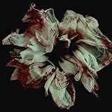 poison dior avis  poison