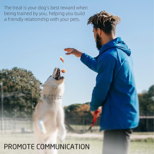 Asmpet Dog Treats Chicken Wrapped Banana Small Dog Training Snacks, Double Flavor & Easy To Carry Outs Chewy Treat For Small Medium Large Dogs, 11 Ounce #TOP2