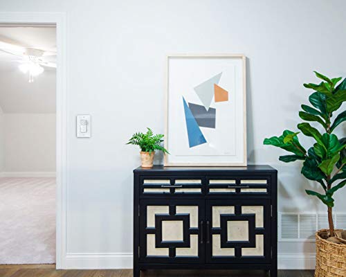 Legrand - Pass & Seymour - Timer Switch With Digital Light Switch And Countdown Time Switch, White Digital Light Timer Indoor With Six Settings, Rt1Wccv4, 1 Count #TOP2