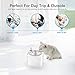 isYoung Pet Fountain, 84oz/2.5L Super Quiet Automatic Cat Water Fountain Dog Water Dispenser with 5 Replacement Filters and Cleaning Brushes for Cats, Dogs, Multiple Pets