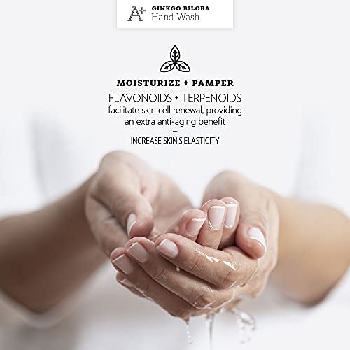 Agraria A+ Hand Cream, Lemon Verbena 12Oz #TOP3