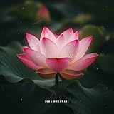 Photo Gallery nirvikalpa drift