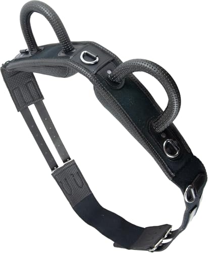 Brama West Voltigiergurt Reitgurt mit Zwei Griffen aus Neopren - geeignet auch als Longiergurt (XFull)