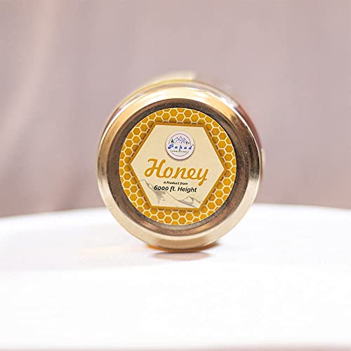 Image of Pahad Ki Sanjeevni Forest Honey 500g Natural Forest Honey from Himalayan Region Pure Honey in Glass Jar Rich Aroma & Smooth Taste Multi-Floral Raw Honey for Daily Use (Pack of 2)