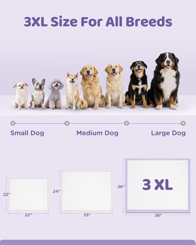 Image of iweepet 36 inchx36 inch 4XL Lavender Scented Disposable Dog Pee Pads, 45 Count | Extra Large Puppy Training Pads with 6-Layer Super Absorbent Protection, Leakproof Puppy Pads for Large Dogs & Senior Pets