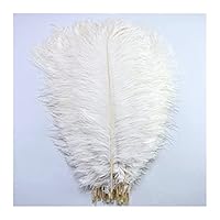 Struisvogelveren voor knutselen en decoratie - 50 stuks - Doe-het-zelf
