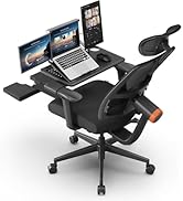 Drogo Mesh Ergonomic Office Chair for Work from Home with Adaptive Lumbar Support,Laptop Tray,4D ...