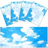 4 Pcs Light Covers, Fluorescent Light Covers for Ceiling Lights, Magnetic Sky Light Shades for Ceiling 4 x 2 Feet Ceiling Light Covers for School Classroom Home Office