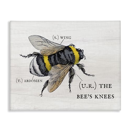 Stupell Industries 'Charming Bee's Knees Anatomy', Canvas Art, 48 x 36 Inches, Easy to Hang and Sturdy, Made in USA, by Lil' Rue