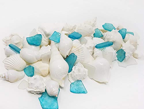 Tumbler Home White Sea Shell Mix With Aqua Sea Glass | Set Contains 1 1/2 Lbs Of Shells And Sea Glass| Beach Decor, Crafts, Wedding, Vase Filler #TOP6